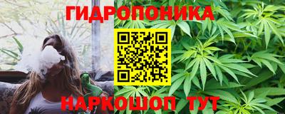 крисы Краснодар