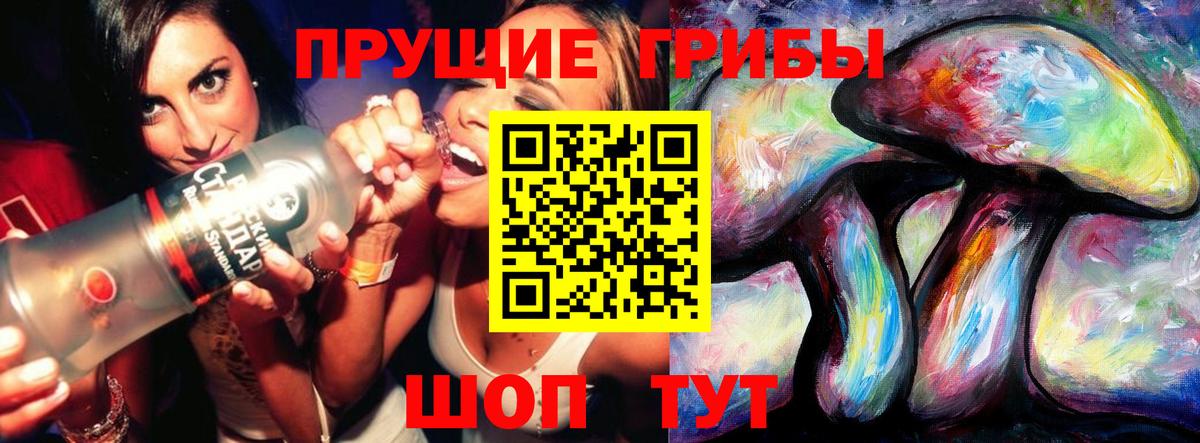где продают   Галлюциногенные грибы прущие грибы  Вход с VPN  Касимов 